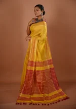 Roddur / A Cotton Tissue Saree