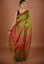 Palash / A Cotton Tissue Saree